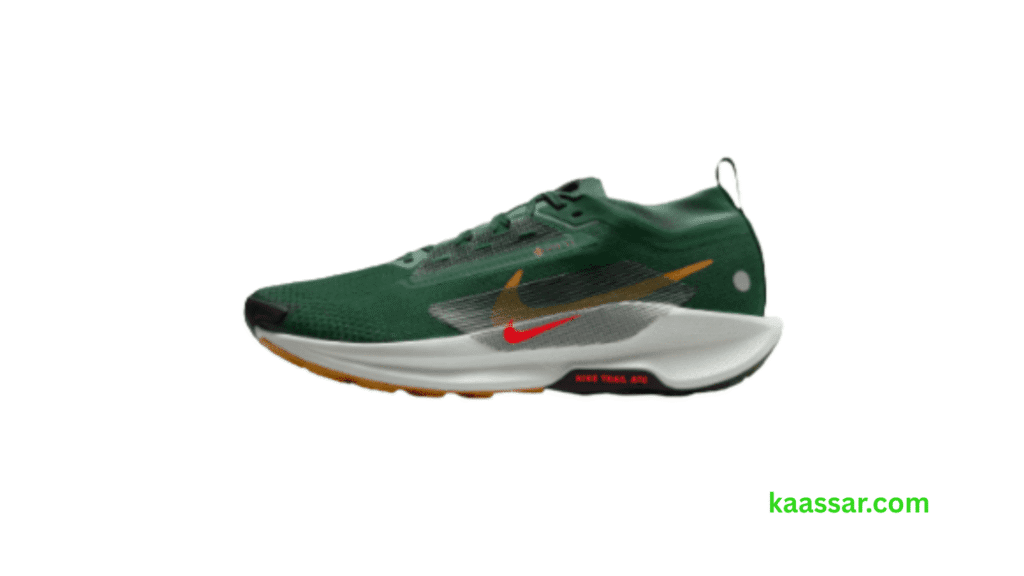 Nike Pegasus Trail 5 GORE-TEX Review