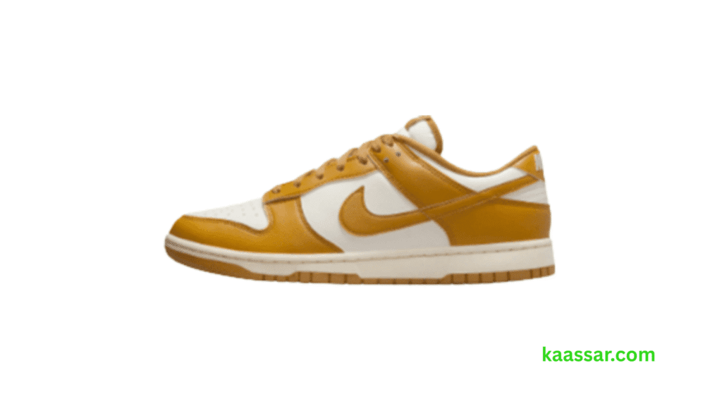 Nike Dunk Low Retro Review