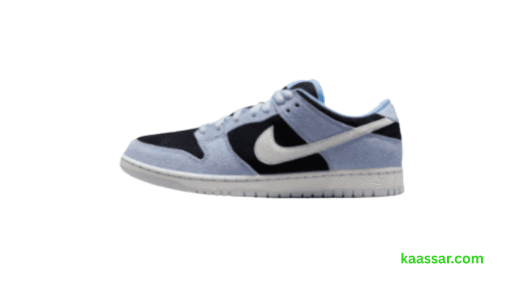 Nike SB Dunk Low Pro Review
