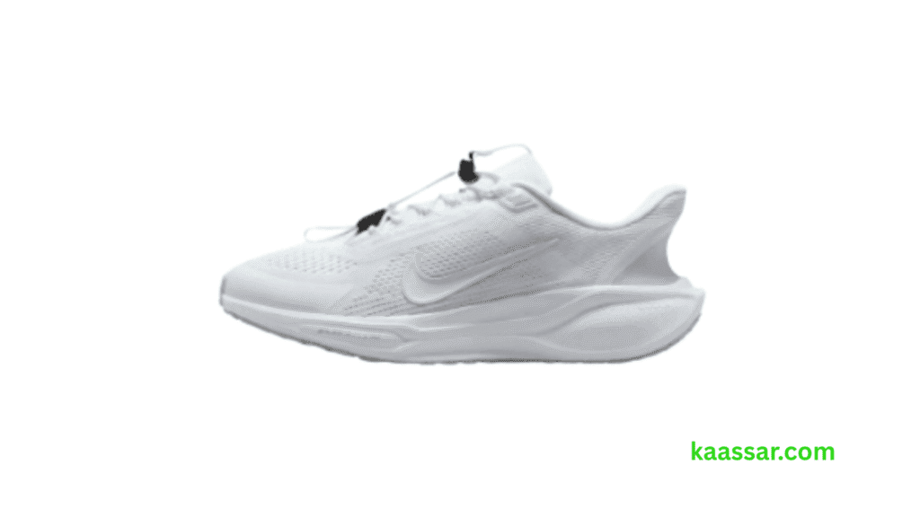 Nike Pegasus EasyOn Review